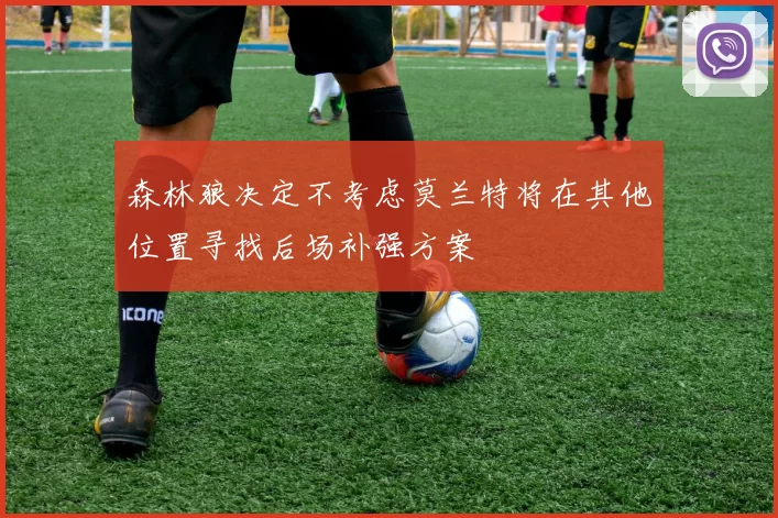 森林狼决定不考虑莫兰特将在其他位置寻找后场补强方案